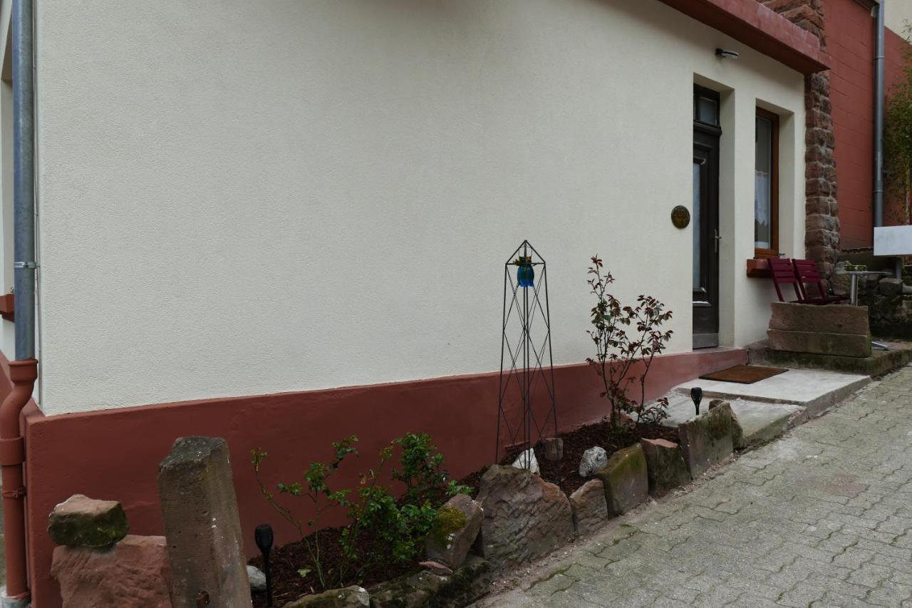 Le Gite Des Sources: Nature, Randonnees, Detente. Oberbronn Екстер'єр фото