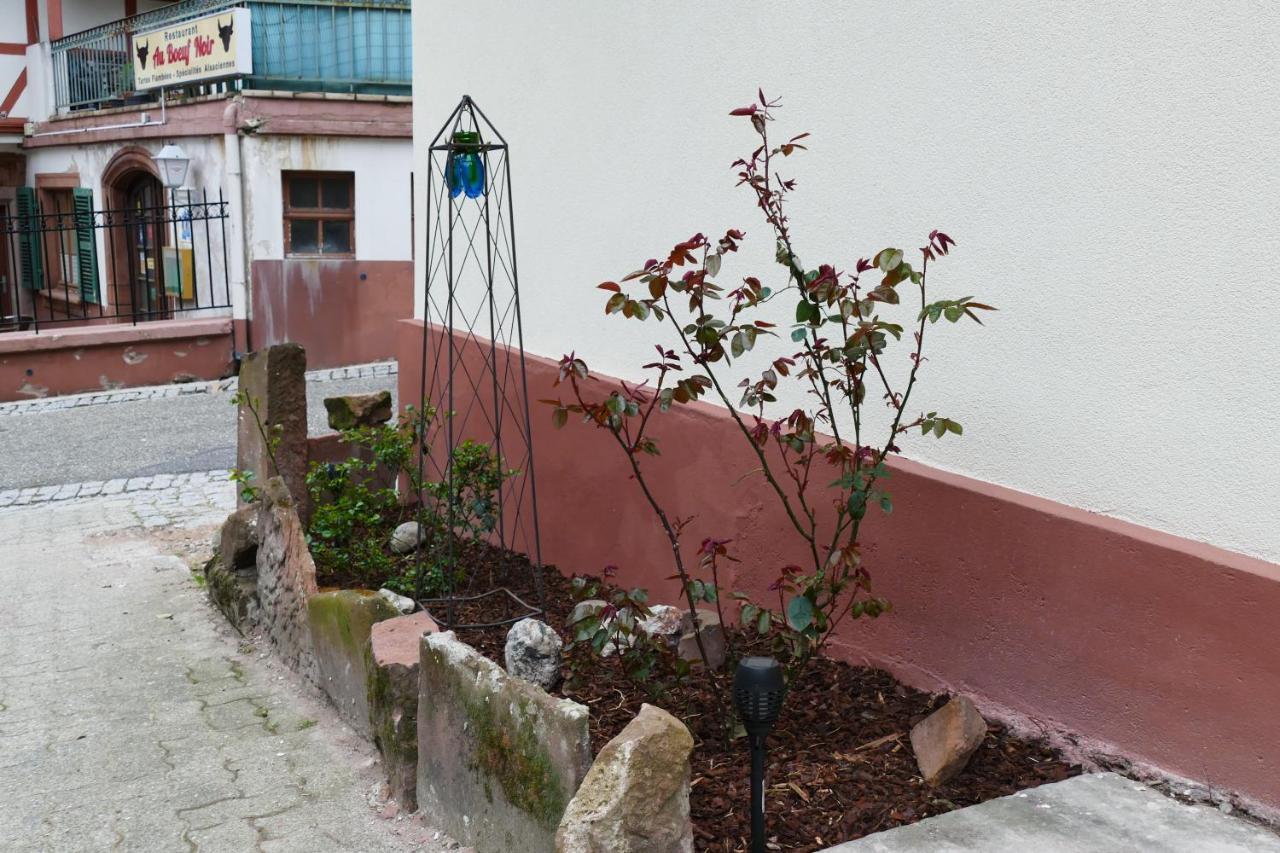 Le Gite Des Sources: Nature, Randonnees, Detente. Oberbronn Екстер'єр фото