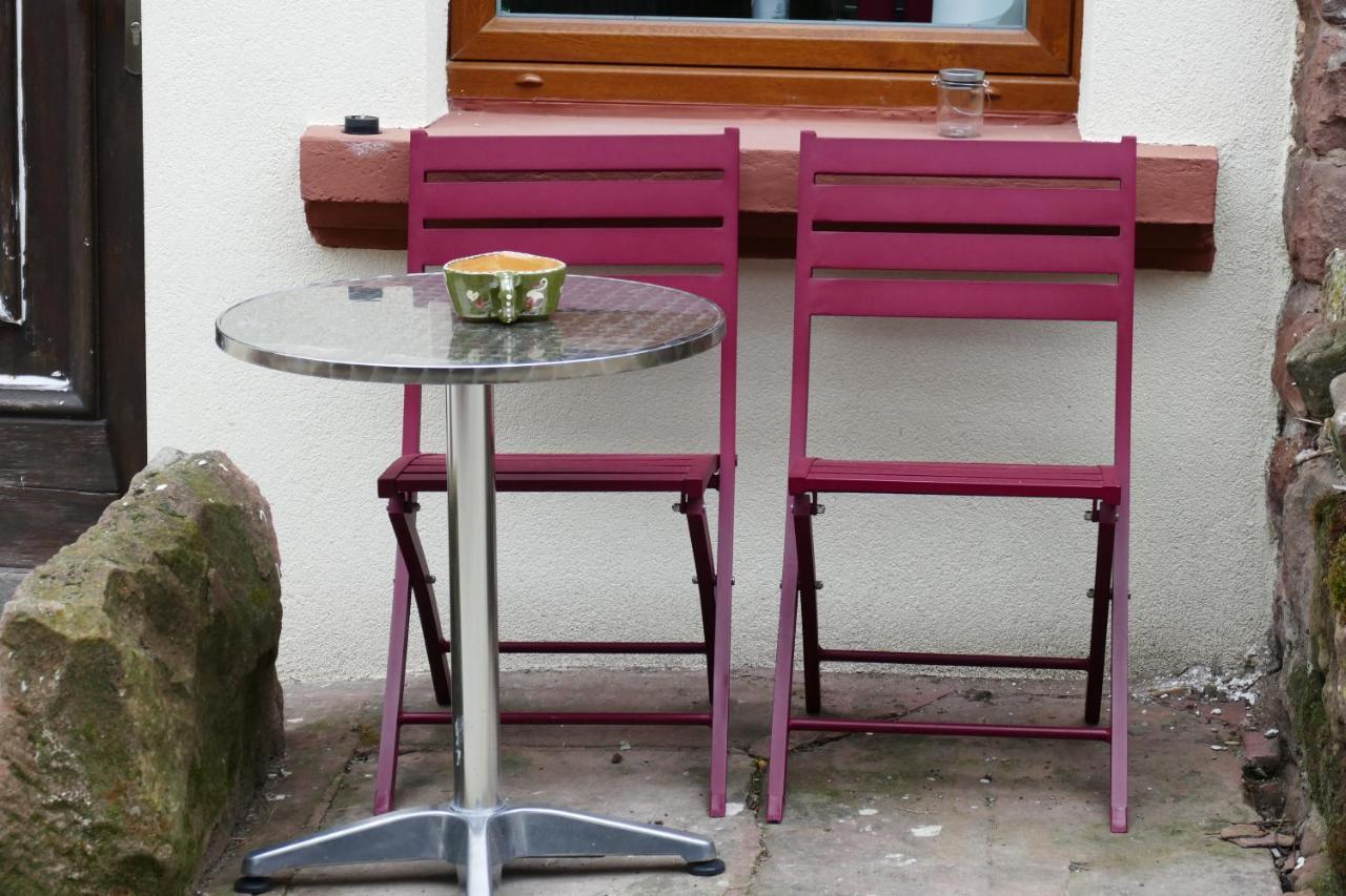 Le Gite Des Sources: Nature, Randonnees, Detente. Oberbronn Екстер'єр фото